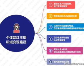 vm网红社群,VM网红社群的崛起与魅力